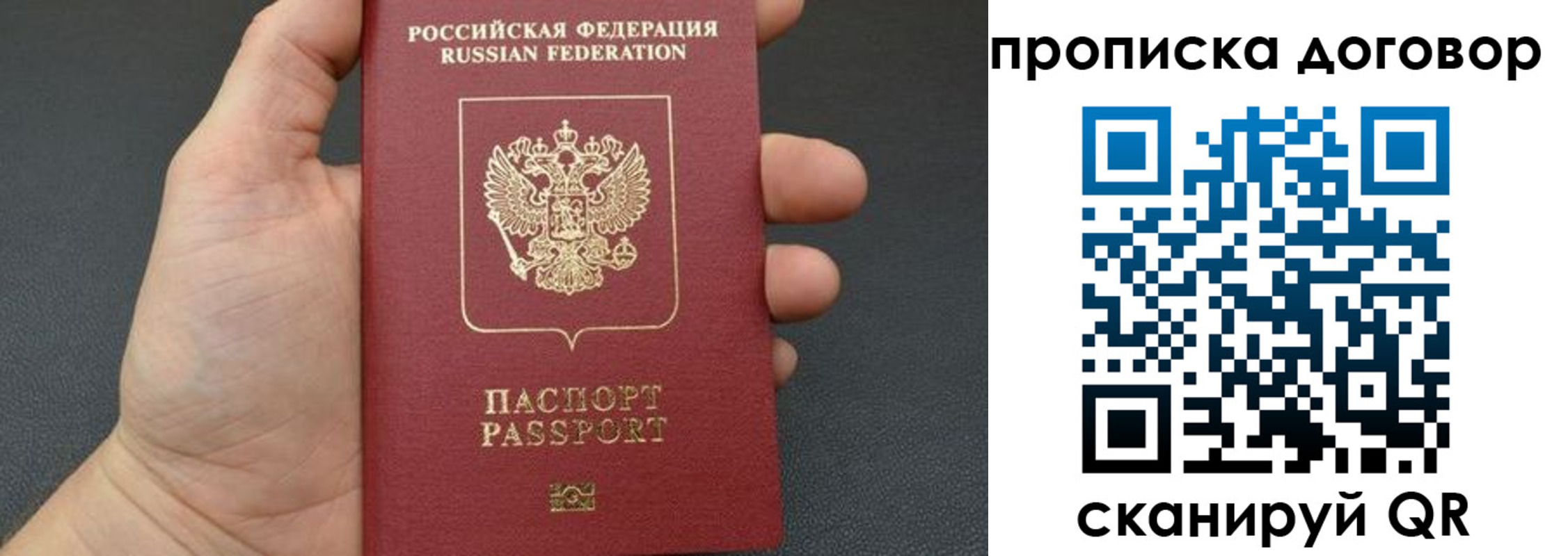 прописка в Лыткарино